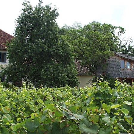 L'Entre-Coeur Bed and Breakfast Menetru-le-Vignoble Εξωτερικό φωτογραφία